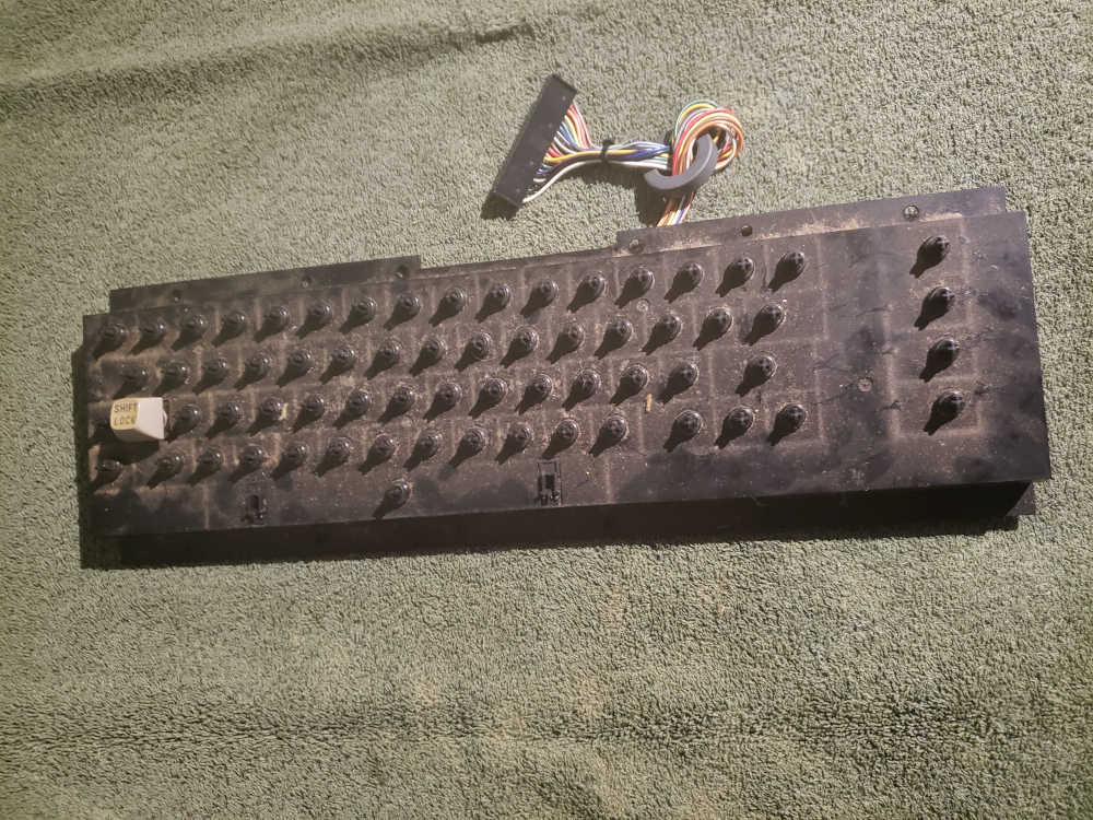 20220812_183918_web.jpg /images/20220812_183918_web.jpg