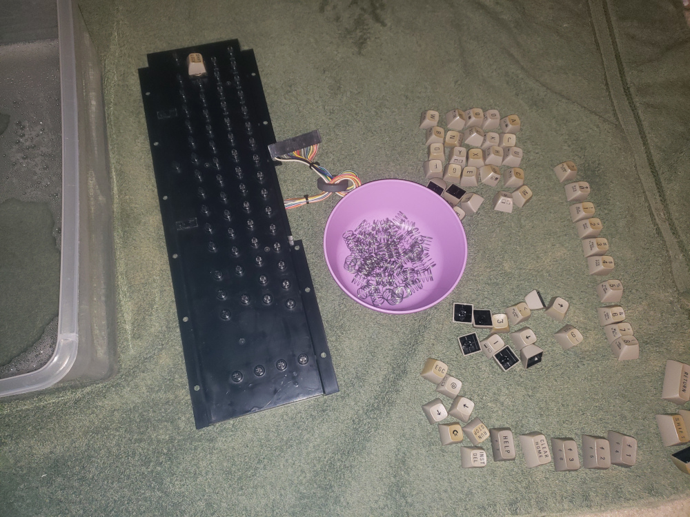 20220812_192113_web.jpg /images/20220812_192113_web.jpg