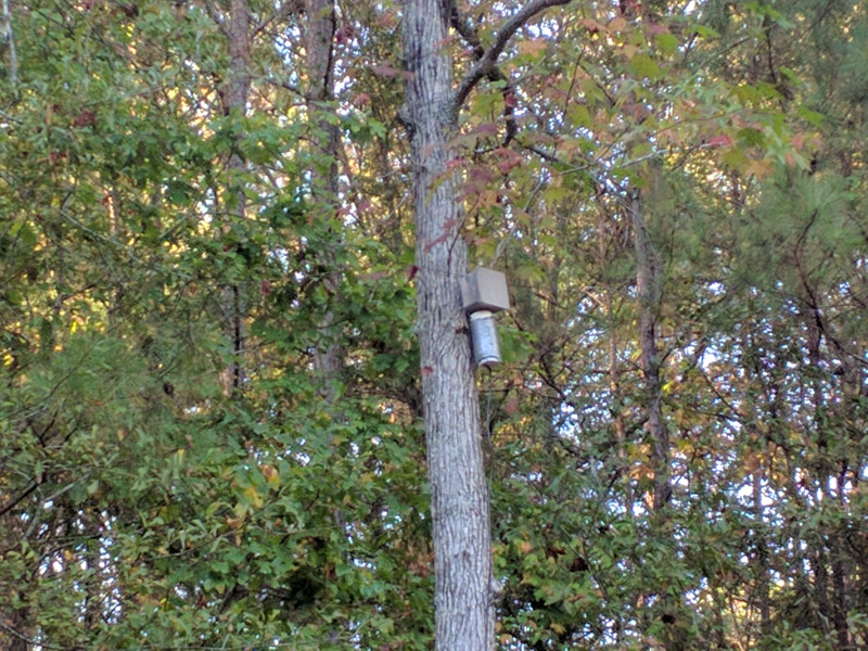 dipole_up_web.jpg /images/dipole_up_web.jpg